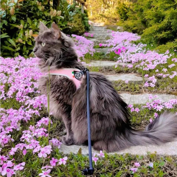 Tre Ponti USA Pet Harness Size 1.5 Pink - Picture 1 of 10